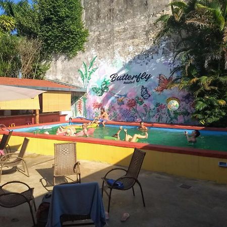 Butterfly Hostel Puerto Iguazu Ngoại thất bức ảnh