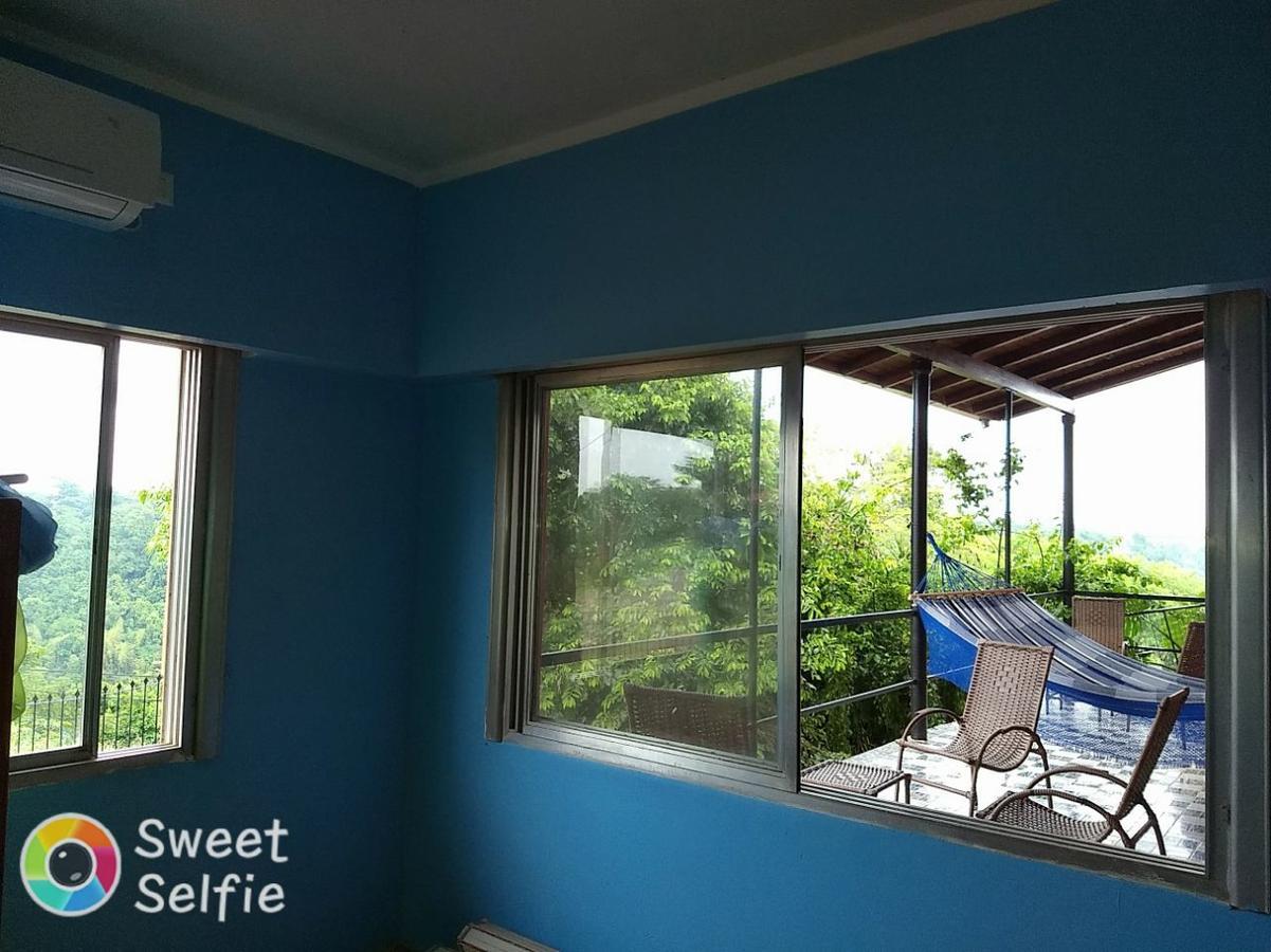 Butterfly Hostel Puerto Iguazu Ngoại thất bức ảnh