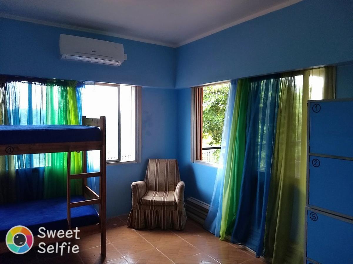Butterfly Hostel Puerto Iguazu Ngoại thất bức ảnh