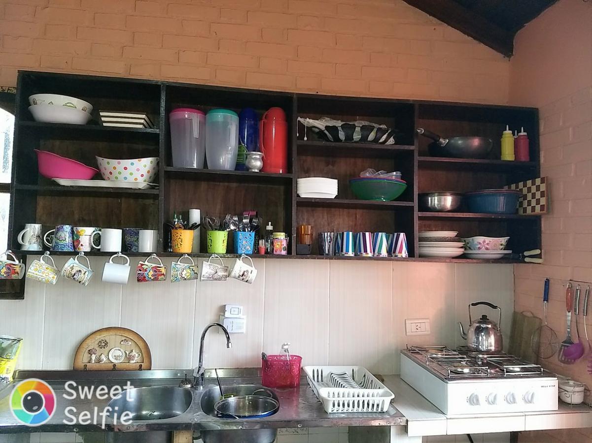 Butterfly Hostel Puerto Iguazu Ngoại thất bức ảnh