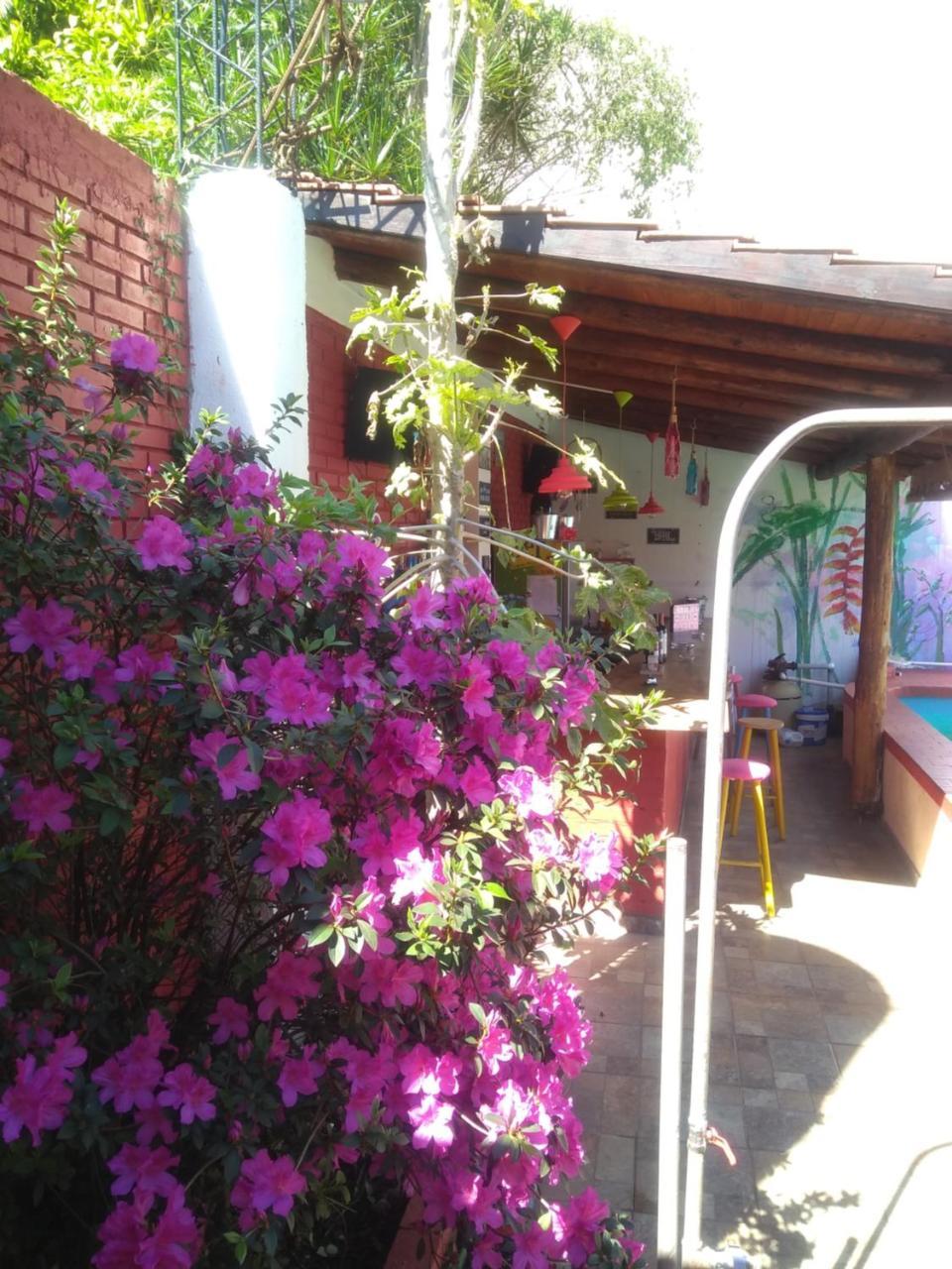 Butterfly Hostel Puerto Iguazu Ngoại thất bức ảnh