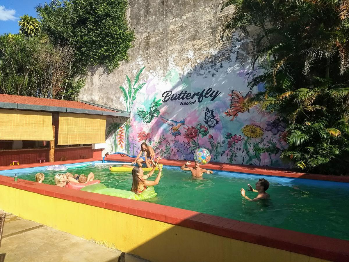 Butterfly Hostel Puerto Iguazu Ngoại thất bức ảnh