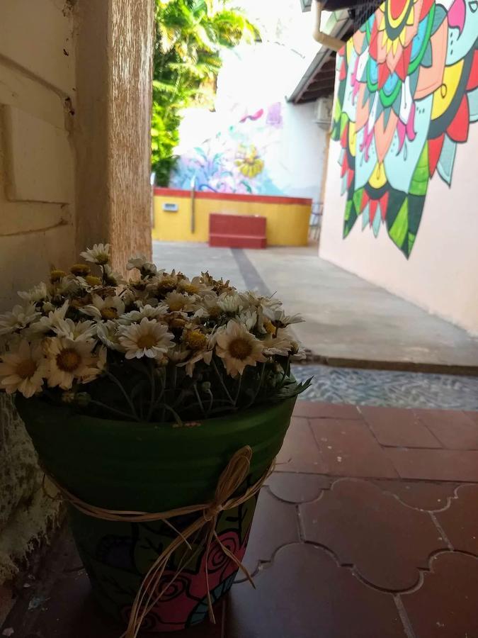Butterfly Hostel Puerto Iguazu Ngoại thất bức ảnh